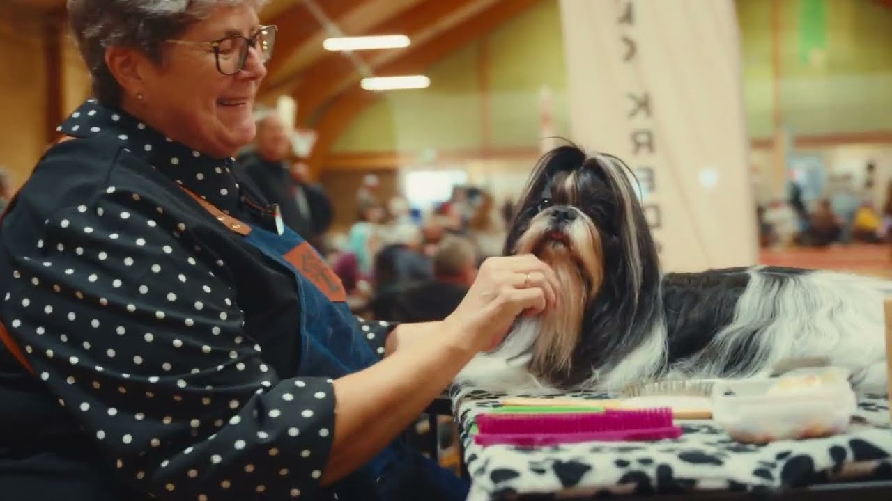 Hundeshow i Fårvang