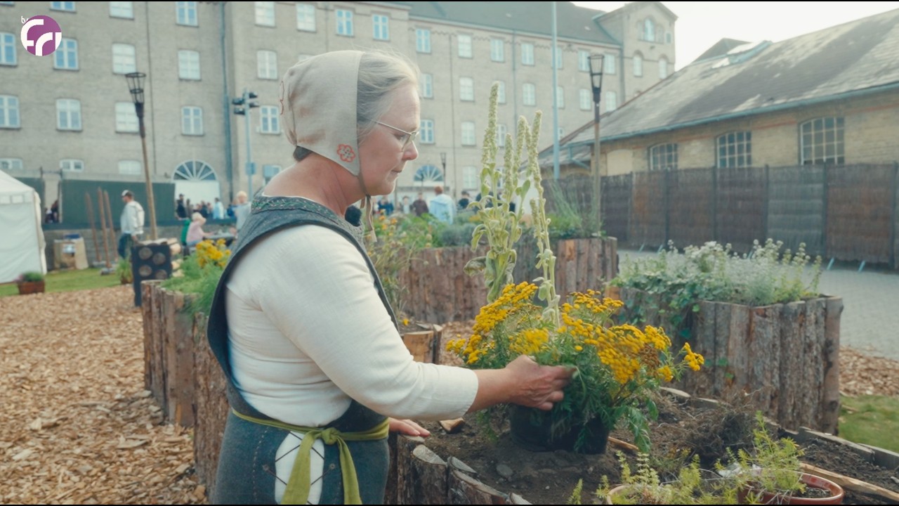 Klosterhavernes Magiske Planter & Ilddrengene